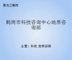 鹤岗市科技咨询中心地质咨询部 科技中介服务的桥梁与支撑